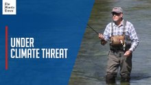 Climate change hits trout and salmon in UK's prized chalk streams