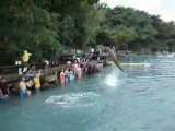 Dolphin Cove - Ocho Rios, Jamaica, www.mytourmagazine.com