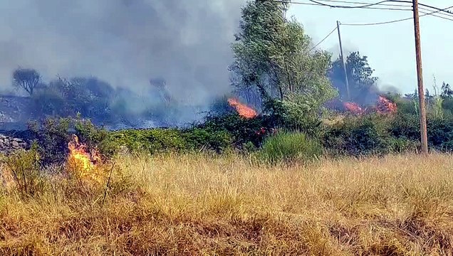 Image from field_mediaid