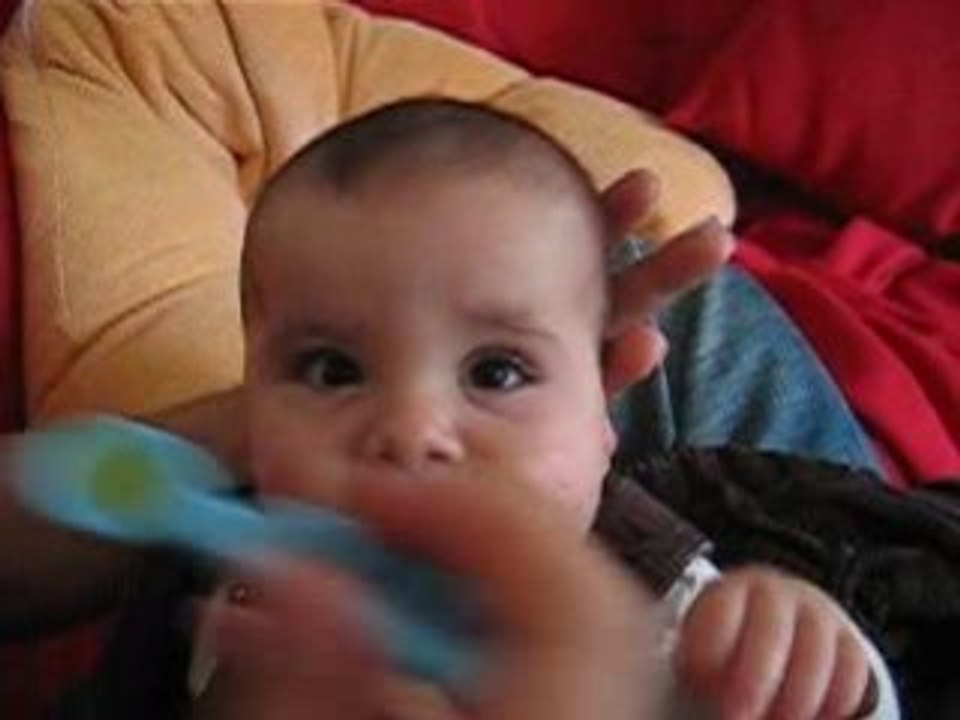 Adam mange de la pomme 1er repas