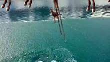 SpinningMule - #funnyanimals #pets #fyp #SpinningMule