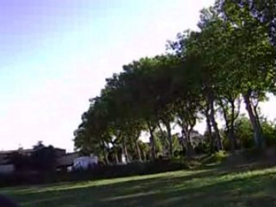 trex 450