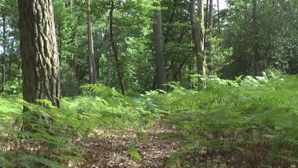 Concours "Transport" magazinevideo.com originale