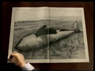 Presse quotidienne regionale