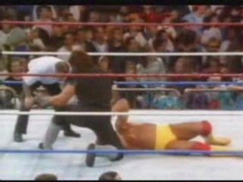 The Undertaker vs Hulk Hogan (SS 1991 Tittle Match)
