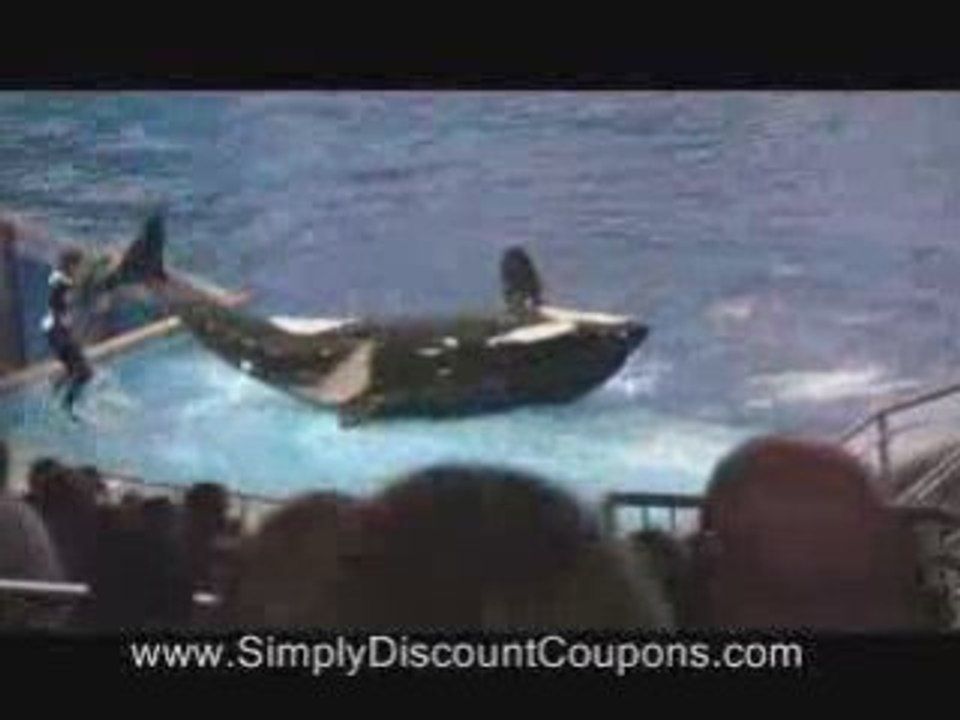 SeaWorld Discount Ticket Code - Shamu Believe Funny Blooper!