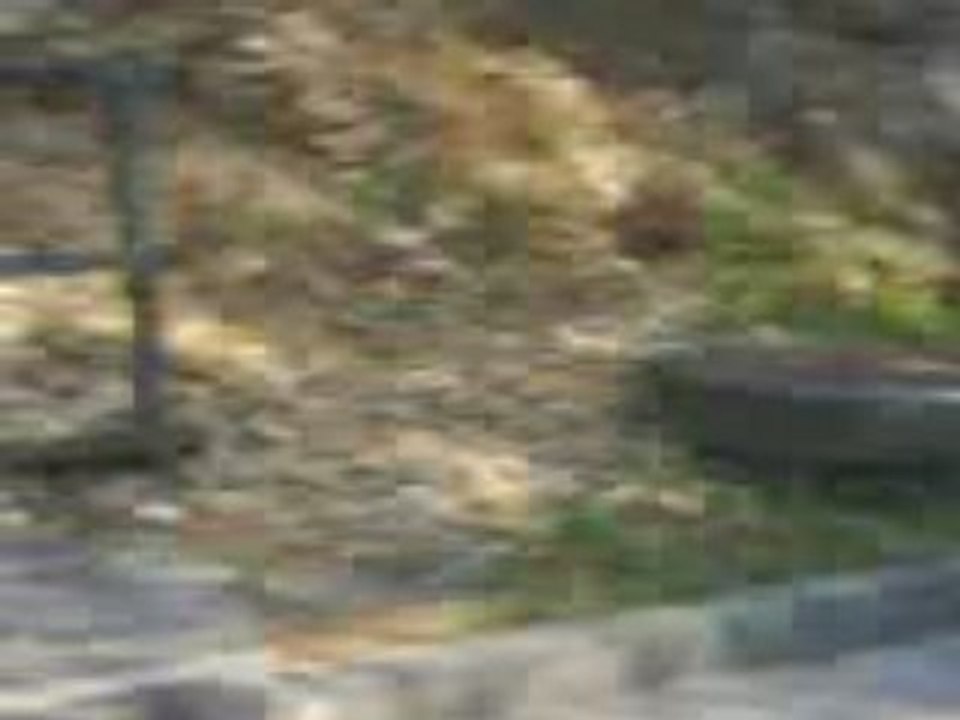 MOV00095