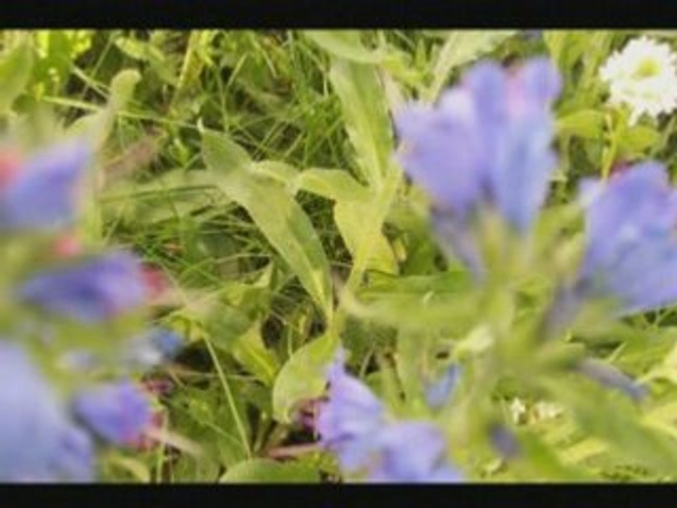 Clip_tylko dzałka.....[(000272)22-47-48]