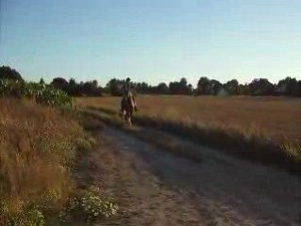 Video ballade celtik 002