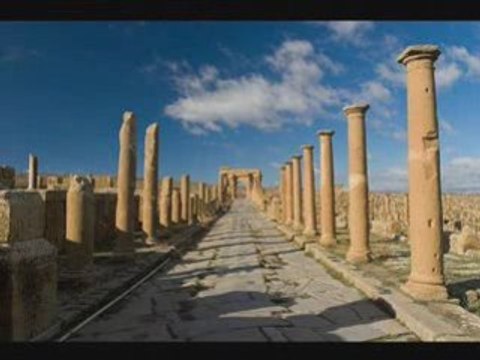 Reda Taliani- El djazair