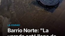 "La vereda está llena de materia fecal": desesperado reclamo en Barrio Norte