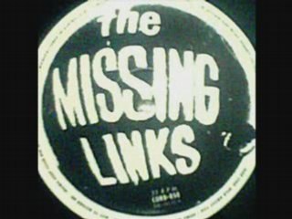 The Missing Links -  Wild About You