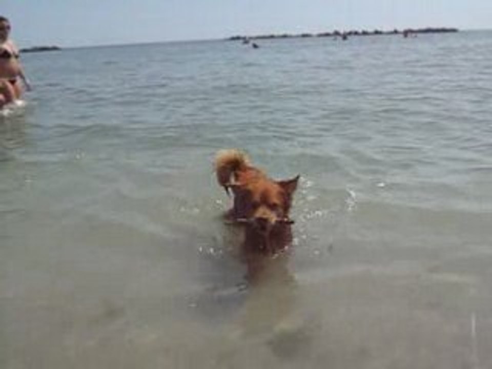 Arci al mare