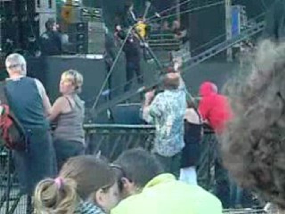 vieilles charrues 2008