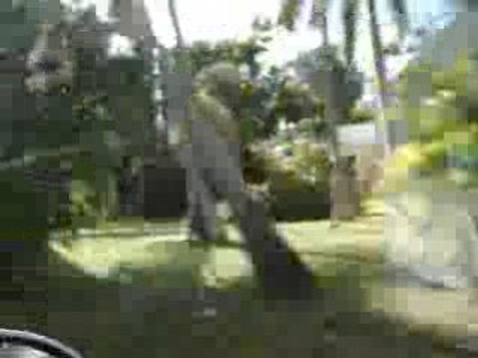 Si makhlouf en Floride