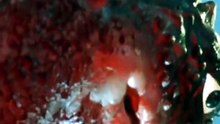 17 ガレオン地球を攻撃せよ