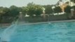 Dude Busts Chair Jumping Into Pool