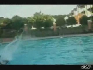 Dude Busts Chair Jumping Into Pool