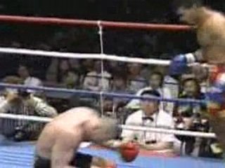 K1 - Jerome LeBanner vs Ray Sefo