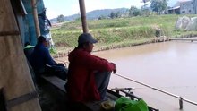 Large pomfret fishing spot