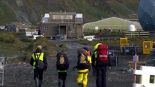 Australia to withdraw staff from Macquarie Island due to 'psychological risk' of bird flu