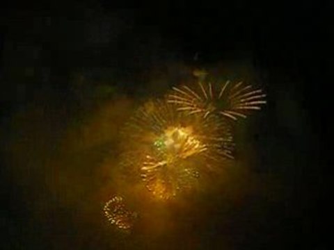 21 juillet 2008, feu d'artifice, Cannes (4)