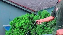 Hujan Deras Bukan Masalah! Waterproofing Dak Beton di Jawa Tengah