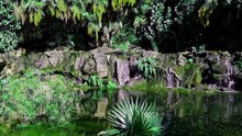 Jardin de Printemps au Soleil Musique Acoustique et Ruisseau Paisible