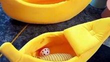 Banana Shape Pet Bed – the coziest hideaway for your furball!