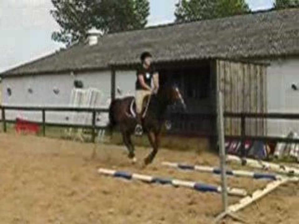 obstacle avec quinine