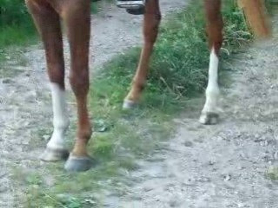 Video ballade celtik 023