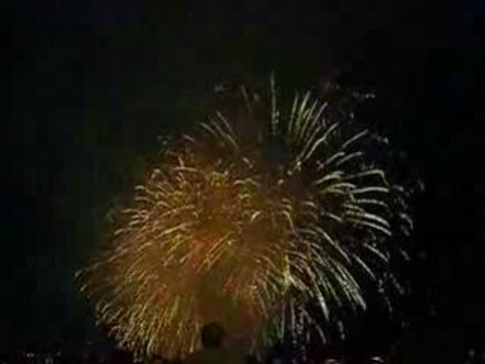 21 juillet 2008, feu d'artifice, Cannes (10)