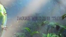 Dance with Our Ancestors | Jaguar Medicine Tribe