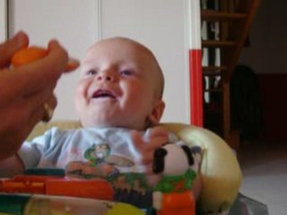 Miam le petit suisse !