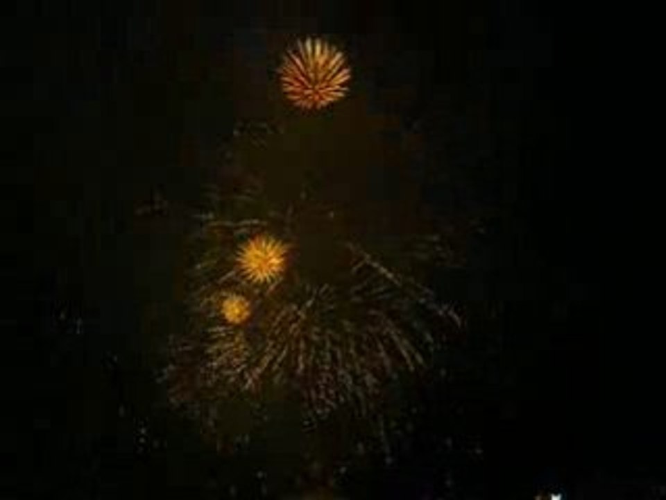 21 juillet 2008, feu d'artifice, Cannes (11)