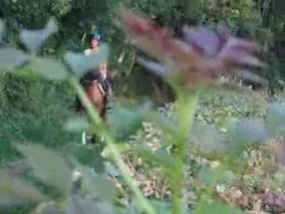 Video ballade celtik 025