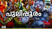 9 ദേശങ്ങളിൽ നിന്നായി നാനൂറോളം പുലികൾ; തൃശ്ശൂർ ന​ഗരവീഥികളിൽ പുലികളിറിങ്ങുന്നു