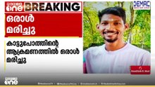 കോഴിക്കോട് വിലങ്ങാട് കാട്ടുപോത്തിന്റെ ആക്രമണത്തിൽ ഒരാൾ മരിച്ചു