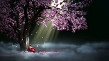 🌸 Voyage au Japon _ Harpe Zen & Cerisiers en Fleurs pour une Relaxation Profonde