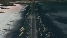 37402E4E060D47BE07ABE18EE9412392_video_dashinit
