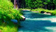 Chasing the Nature | Explore the Beauty #beauty #chasing