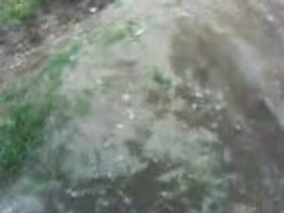 Vidéo31