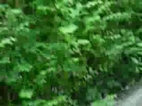 Video d'horreur a velo 002