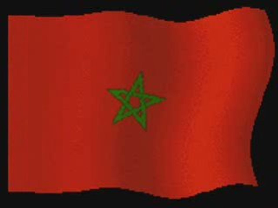 morad salam