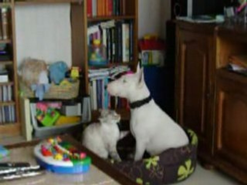 mes 2 amours