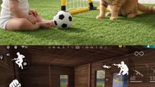 Cute Baby Videos For Kids To Watch Funny Baby Mome