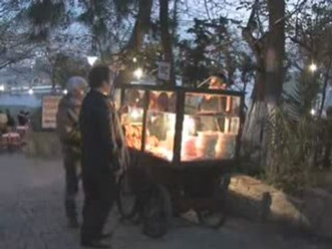 Birol Topaloglu - Tara sacini tara