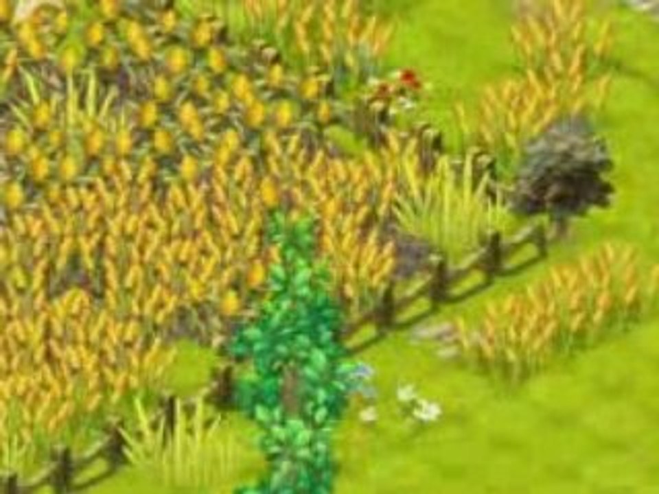 DOFUS