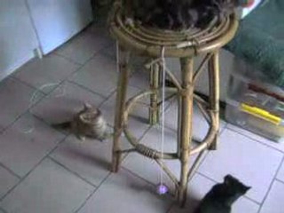 Le jeux de boule