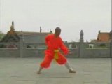 Shaolin Da Hong Quan Yi Lu - Shi De Yang